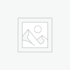 プレースホルダー